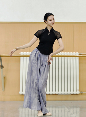 古典舞纱衣中国舞服装身韵形体服舞蹈上衣女短袖旗袍领舞蹈练功服