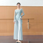 古典舞服飘逸斜角一字领纱衣女中国舞身韵练功服形体训练上衣女