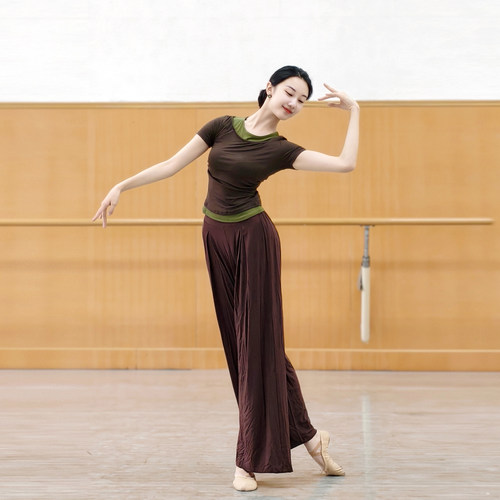 现代舞短袖上衣古典舞练功服夏季中国舞服女修身时尚瑜伽舞蹈衣服