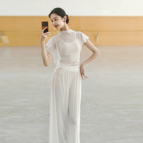 现代舞上衣古典舞练功服纱衣夏季中国舞服装女新款立领时尚舞蹈服