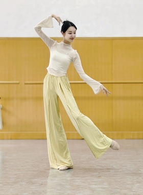 古典舞纱衣长袖练功服修身显瘦蝴蝶舞蹈服形体服中国舞身韵服国风