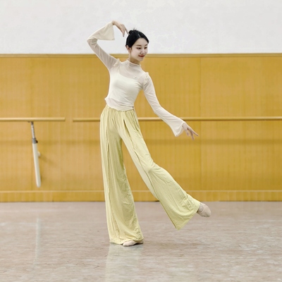 古典舞纱衣长袖练功服修身显瘦蝴蝶舞蹈服形体服中国舞身韵服国风