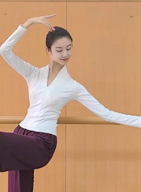 现代舞蹈服古典中国舞练功服女高领长袖上衣形体训练服瑜伽拉丁舞