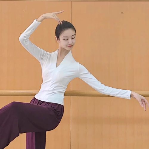 现代舞蹈服古典中国舞练功服女高领长袖上衣形体训练服瑜伽拉丁舞