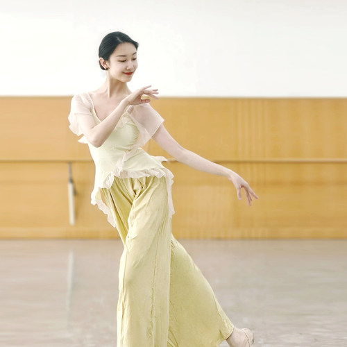 短袖古典舞中国舞服装身韵形体服舞蹈上衣女款新款春夏舞蹈练功服
