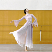 裙裤 古典舞纱衣飘逸仙气舞蹈服装 中国舞雪纺练功服演出服装 艺考