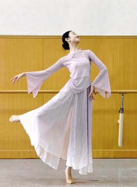 古典舞纱衣飘逸仙气舞蹈服装中国舞雪纺练功服演出服装裙裤艺考