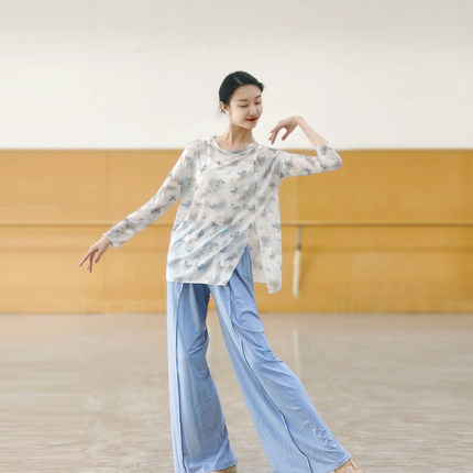 古典舞身韵服飘逸宽松网纱罩衫上衣形体现代舞蹈练功服中国汉唐舞