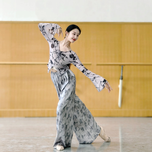 古典舞印花长袖上衣中国舞舞蹈服现代舞练功服形体服套装艺考演出