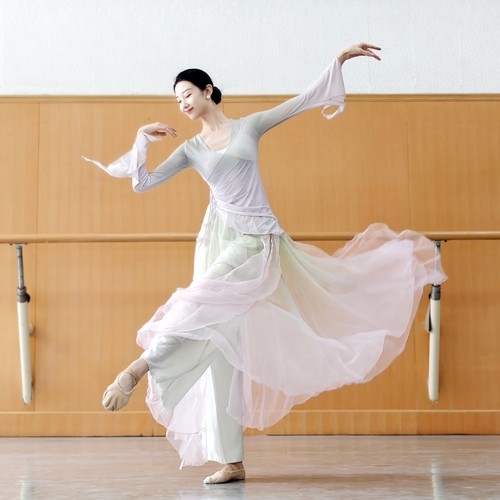 古典舞蹈服装渐变身韵显瘦纱衣中国舞飘逸练功服成人表演出服装
