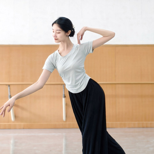 现代舞夏季成人舞蹈服短袖上衣练功修身中国古典民族跳舞服女瑜伽