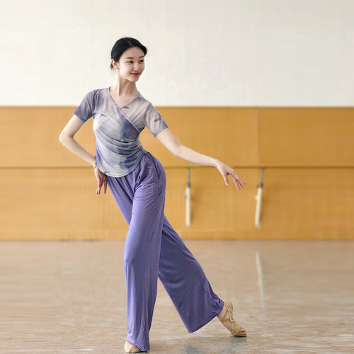 短袖古典舞蝴蝶纱衣渐变显瘦舞蹈服中国舞气质身韵服形体服上衣女