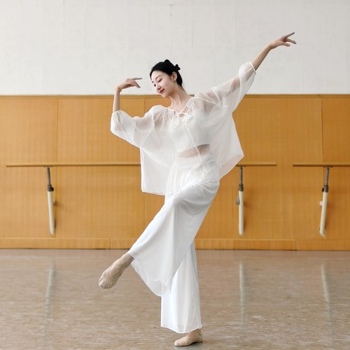 古典舞身韵服飘逸宽松网纱罩衫上衣形体现代舞蹈练功服中国汉唐舞