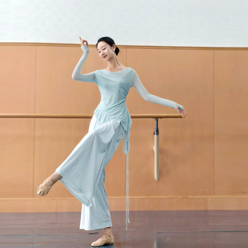 古典舞一字领飘逸斜角纱衣女中国舞身韵练功服形体训练上衣女