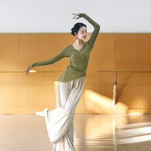 古典舞秋冬新款修身针织长袖上衣舞蹈服现代舞形体练功服女