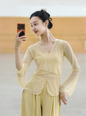 古典舞纱衣中国舞服装身韵形体服显瘦舞蹈上衣女民族舞练功服