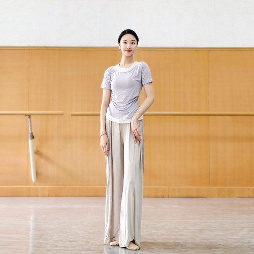 现代舞假两件短袖上衣女舞蹈服中国古典舞形体练功服装瑜伽芭蕾舞