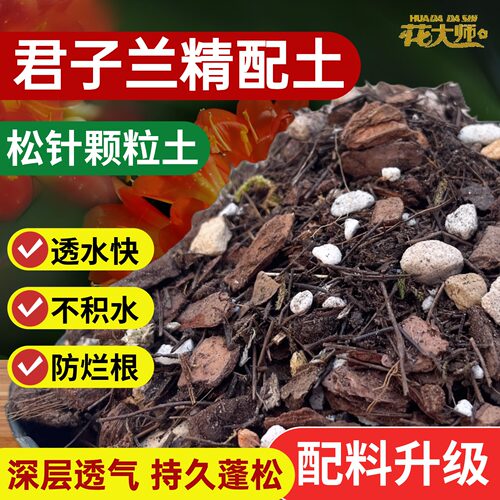 君子兰盆栽营养土专用土土壤