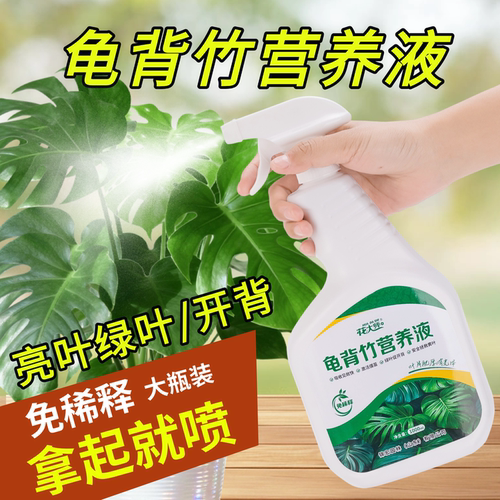 龟背竹营养液专用肥料室内绿植盆栽黄叶卷边天南星科免稀释叶面肥