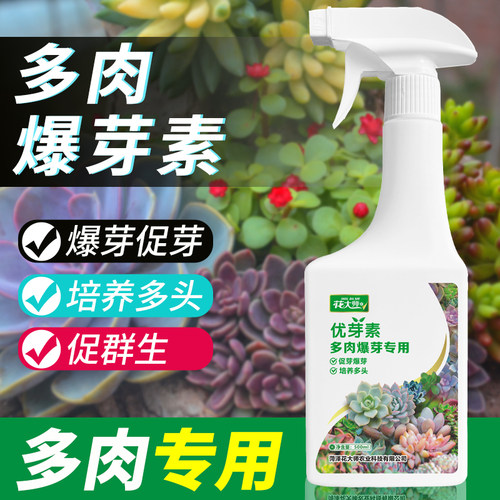 花大师优芽素免稀释一次爆盆