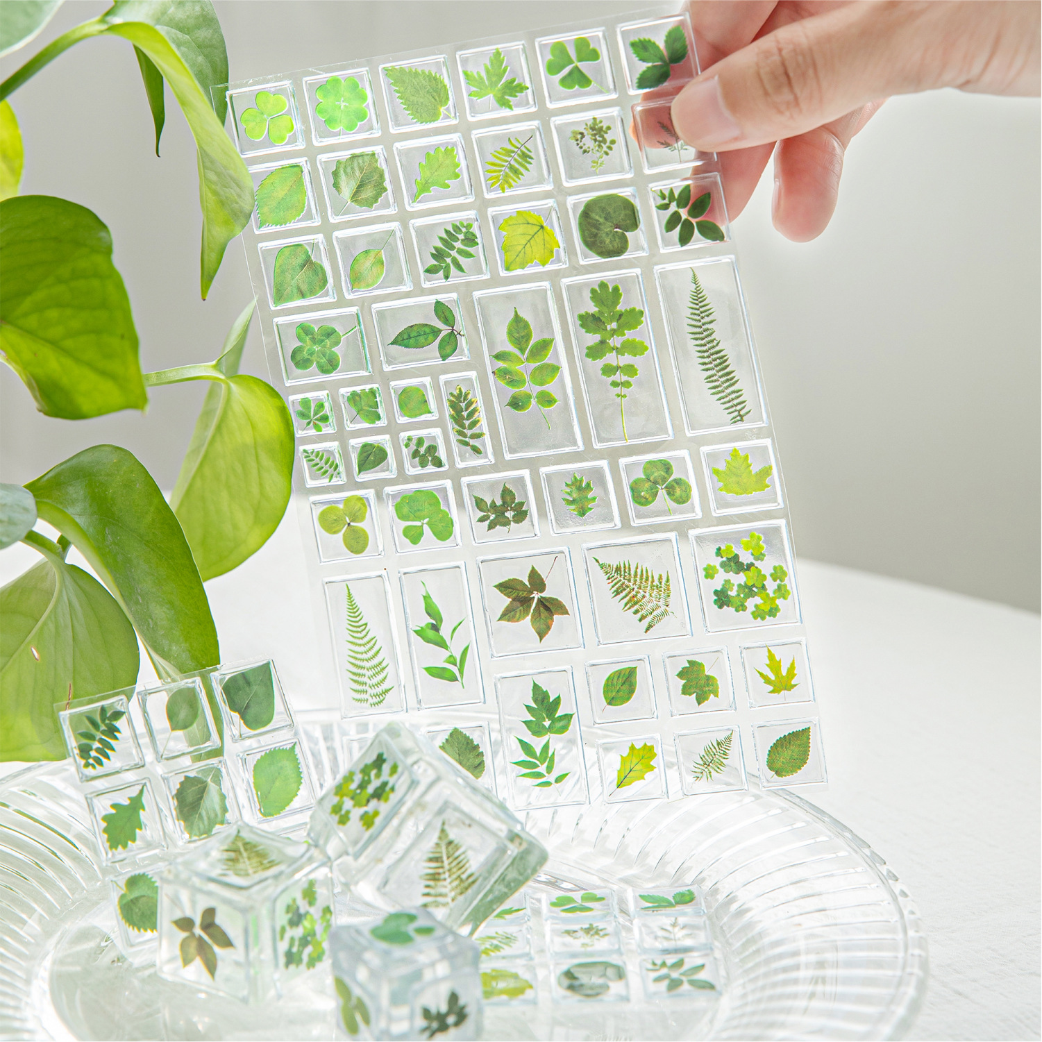 自然植物所亚克力3D立体装饰贴纸 手工diy手账手机壳装饰手帐贴画图片