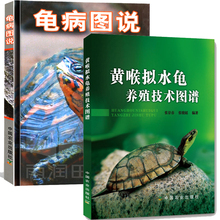 龟病图说+黄喉拟水龟养殖技术图谱 全2册 李艺金钱龟安布闭壳龟金钱龟乌龟 养龟书籍大全养龟技术书籍 高效养殖养龟疾病书籍大全