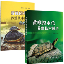 黄缘闭壳龟养殖技术图谱+黄喉拟水龟养殖技术图谱 全2册 国内首本以图文并茂形式介绍黄缘闭壳龟的专业书籍 乌龟疾病诊断与治防书