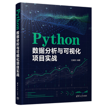 Python数据分析与可视化项目实战 王振丽 计算机语言程序设计开发爬虫代码大全 Python语言基础语法 数据采集分析实现书籍