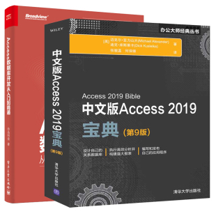 全2册 Access开发数据库系统知识技术与实际应用 丛 办公大师经典 Access 2019宝典第9版 中文版 Access数据库开发从入门到精通