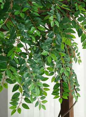 仿真榆树叶手感过胶塑料榆树支绿色植植物叶子假树枝工程装饰造型