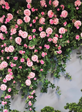 墙面挂饰仿真牡丹花藤蔓客厅门头遮挡装饰花玫瑰假花藤条遮挡藤蔓