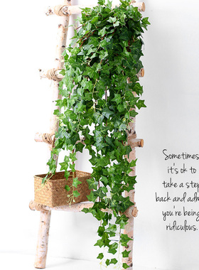 仿真爬山虎壁挂装饰植物绿叶假花藤条藤蔓绿植塑料花藤吊兰吊篮