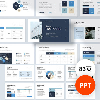 83页正式商务提案项目汇报总结工作简约通用PPT模板