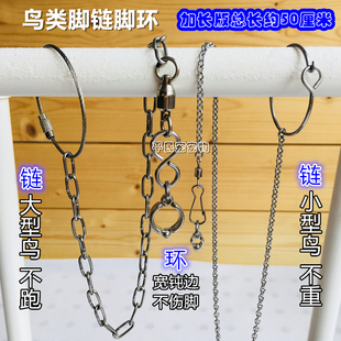 鹦鹉脚环/鹦鹉脚链 不锈钢鸟链子喜鹊八哥伯劳鸟用品鸽子站架脚套
