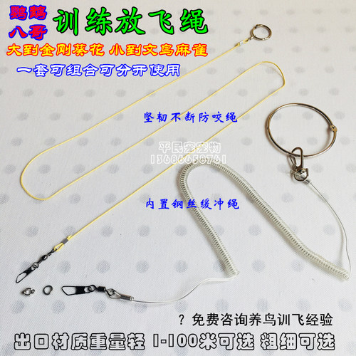 灰训练虎皮牡丹金鹦鹉遛鸟飞绳