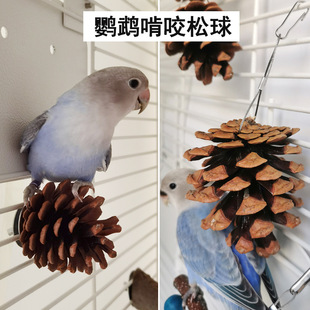 鹦鹉啃咬玩具 鸟类笼内磨牙松球松果 玄凤牡丹玩耍磨喙悬挂用品
