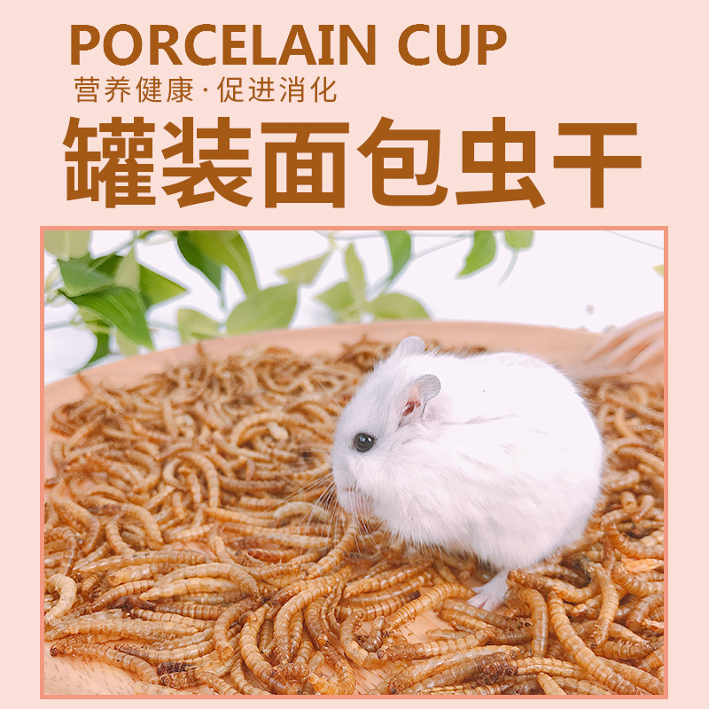 100g罐装面包虫干仓鼠饲料 花枝鼠黄粉虫干 现货刺猬粮零食