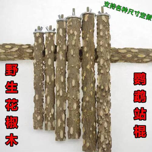 站棍花椒木平民宠大型鹦鹉
