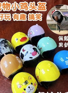 信鸽宠物鸽子鸡头盔搞笑安全保护头套鸡头安全帽鸟帽保护头盔