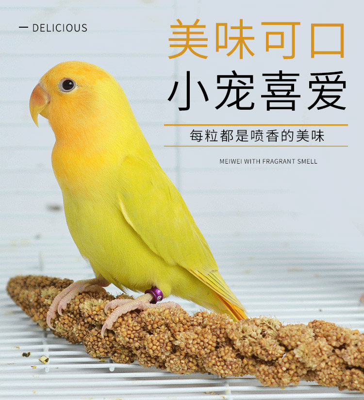 优质天然鹦鹉谷穗带壳黄谷子玄凤虎皮牡丹断奶学吃鸟食鸟玩具10串,宠物/宠物食品及用品,鸟玩具,淘宝优惠券,粉丝福利购,淘宝优惠卷