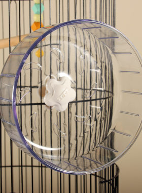 仓鼠跑轮玩具金丝静音蜜袋用品