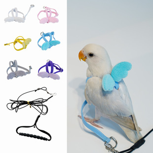 鹦鹉飞行单背带超轻放飞牵引绳牡丹玄凤小太阳遛鸟放飞背带绳