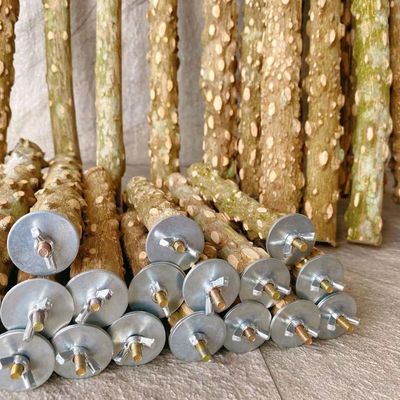 花椒木站杆鸟用磨爪磨牙棒