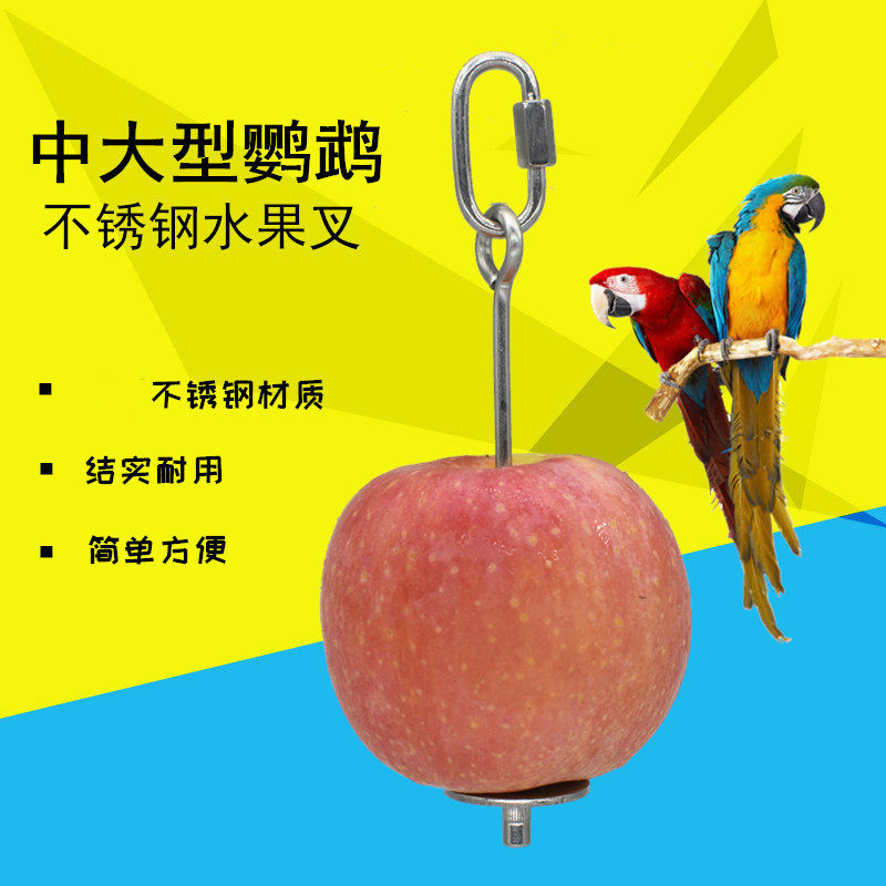 鹦鹉不锈钢水果叉鸟类站架鸟笼配件挂钩觅食玩具 鹦鹉用品 鸟用具
