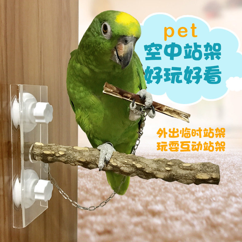 鸟用中型鹦鹉洗澡手养外出训练空中站架 花椒木宠物吸盘鸟用玩具,宠物/宠物食品及用品,鸟用洗澡盒/器,淘宝优惠券,粉丝福利购,淘宝优惠卷