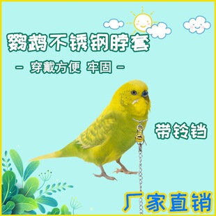 鹦鹉鸟脖套脖链脚链脚环不锈钢脖圈虎皮伯劳八哥鸟环脖扣