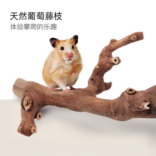 葡萄藤枝仓鼠笼子造景用品啃咬磨牙棒树根天然攀岩爬梯躲避玩具