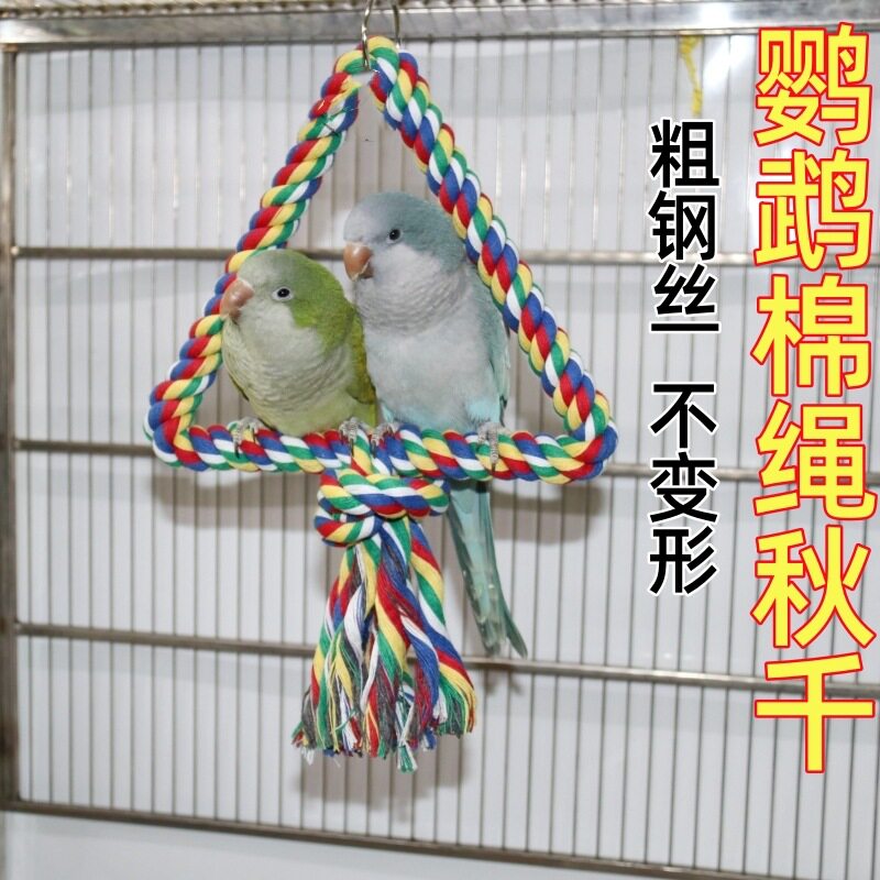 鹦鹉彩色攀爬三角款吊环图片