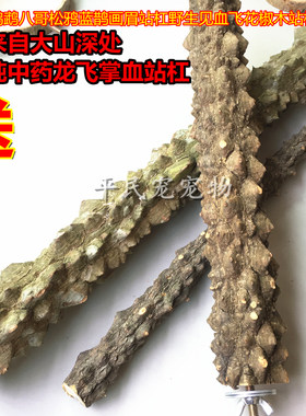 鸟用具站棍鹦鹉鸟笼站架平民宠
