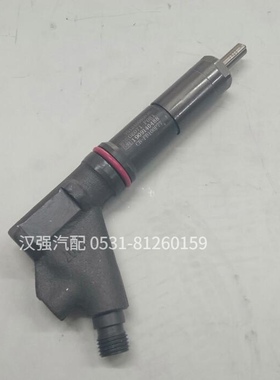 适用重汽D12发动机喷油器豪沃国二发动机喷油器总成 VG1246080036